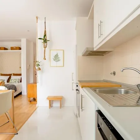 Apartment Sunny Priorado Vintage With Balcony Porto